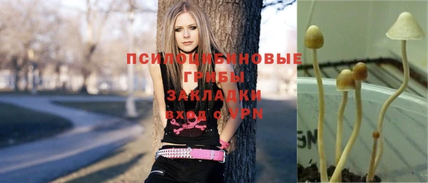 PSILOCYBIN Арсеньев