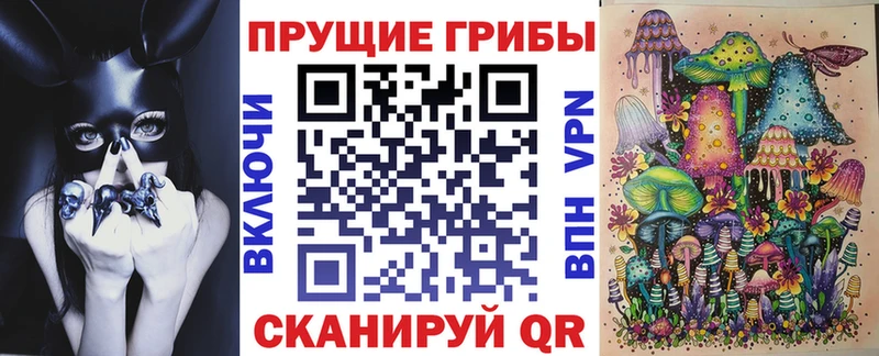 Галлюциногенные грибы GOLDEN TEACHER  купить наркотики сайты  Тарко-Сале 