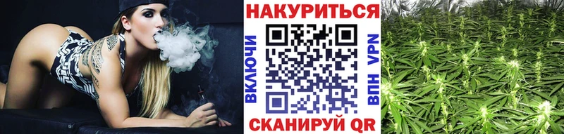 Бошки марихуана планчик Тарко-Сале
